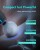 1024603-4-masazer-pistolet-do-masazu-3-glowice-do-calego-cia-skg-hurtownia-sklep.jpg